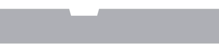 FP219